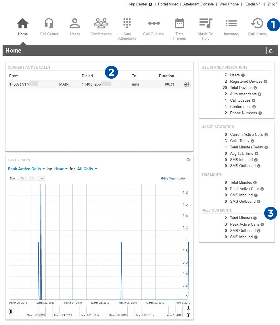 Cloud Connect portal home screen showing current active calls, call graph and usage statistics.